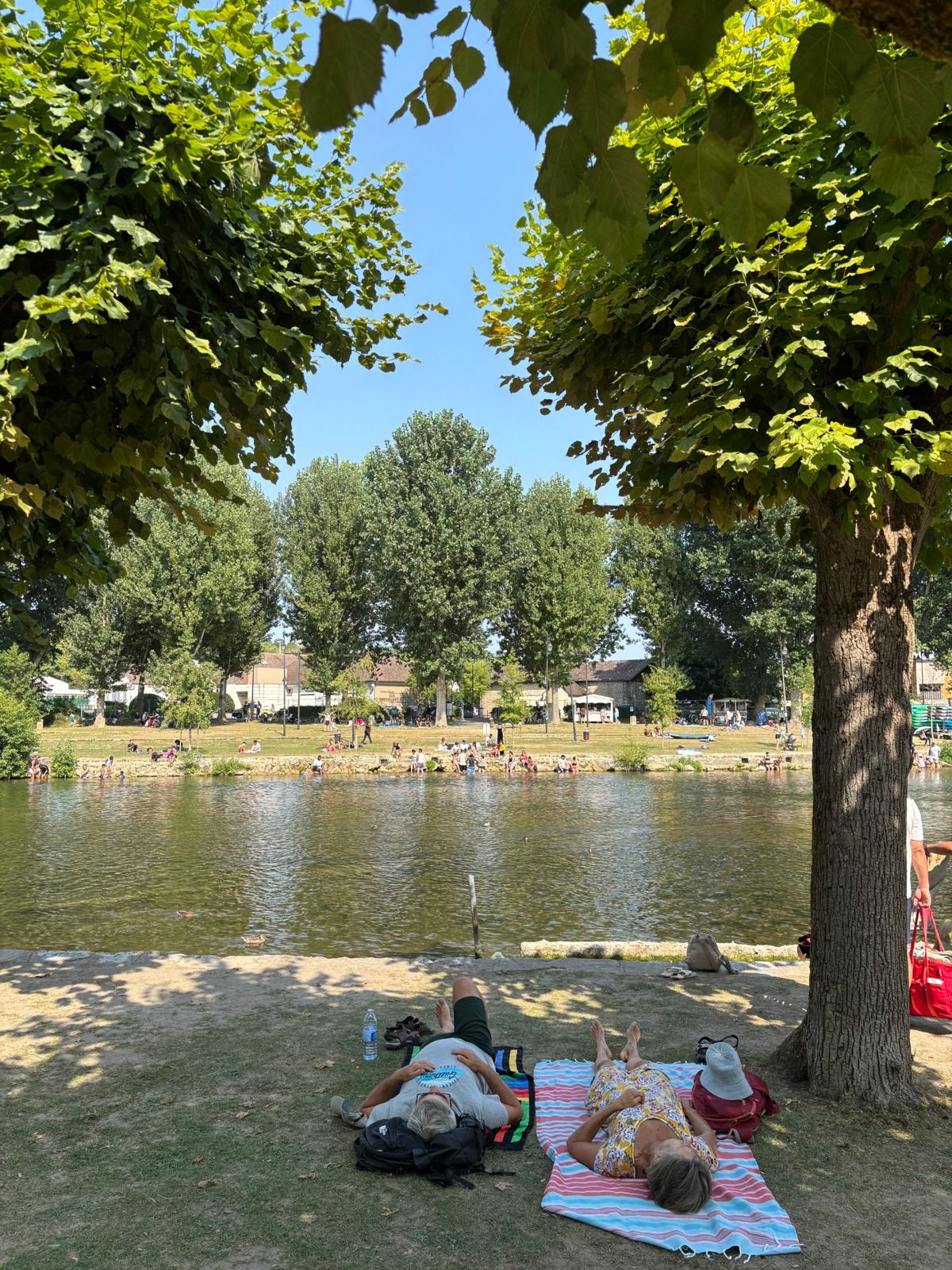 Pique-nique à l'ombre des arbres au bord du Loing
